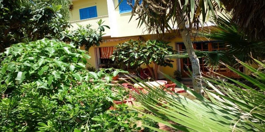 Hotel Alexander Santa Domenica  Ngoại thất bức ảnh